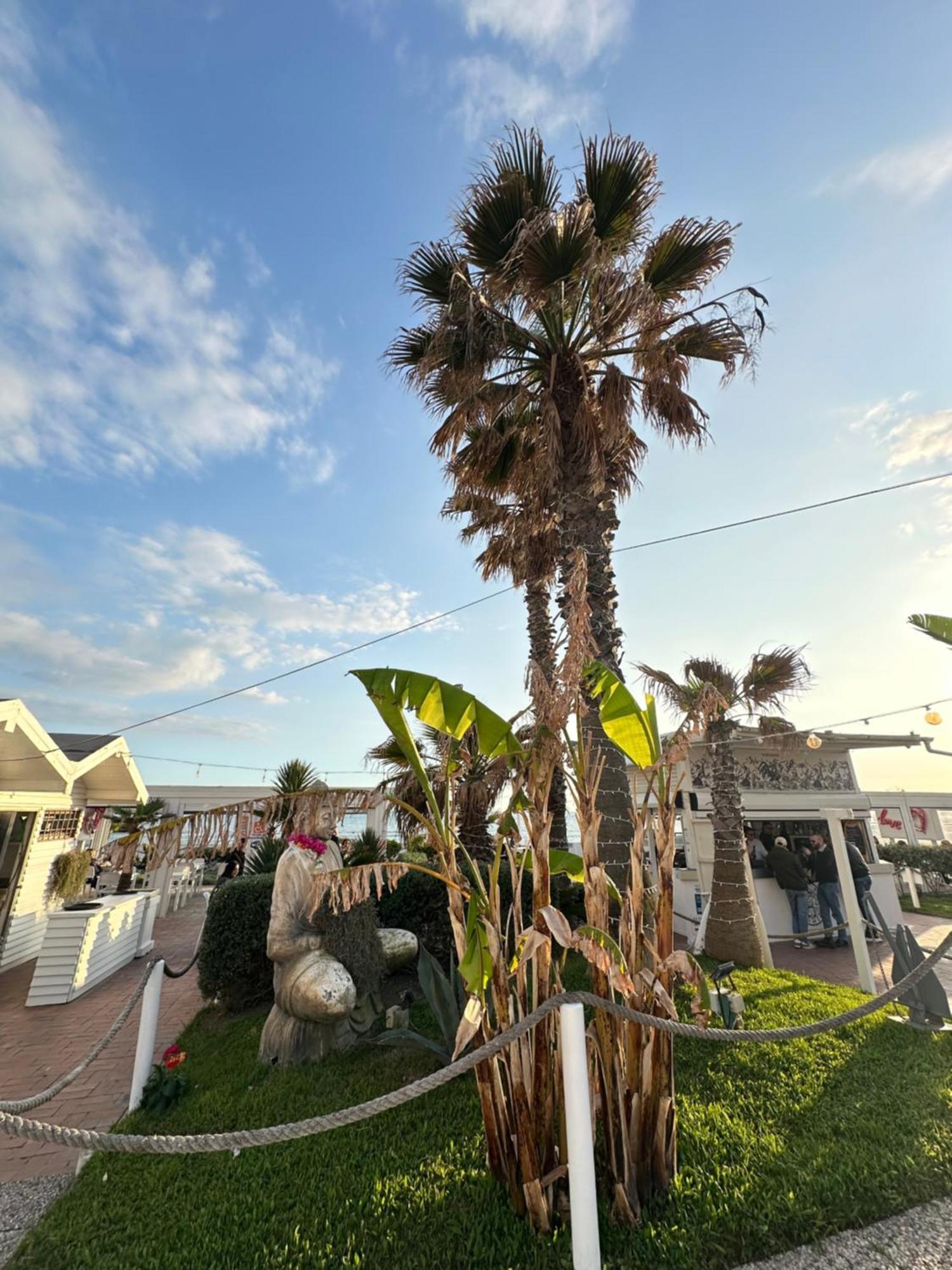Appartamento Penthouse Salus Sea View Terrace Lido di Ostia Esterno foto